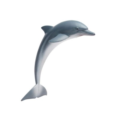SAF200129 - Delfin