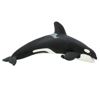 SAF210202 - Balenă ucigașă
