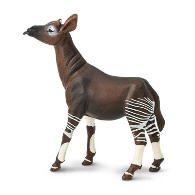 SAF292529 - Okapi