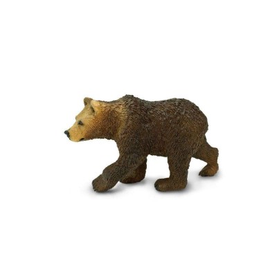 SAF181429 - Pui de urs grizzly