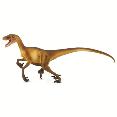 SAF299929 - Velociraptor
