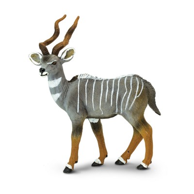 SAF296229 - Antilopă Lesser Kudu