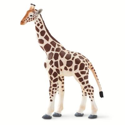 SAF100421 - Girafă