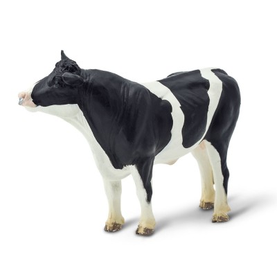 SAF246929 - Taur Holstein