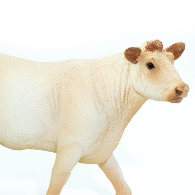 SAF231229 - Vaca Charolais