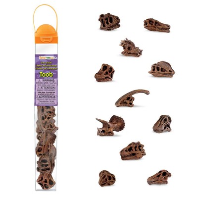SAF687404 - Tub Cranii de dinozauri
