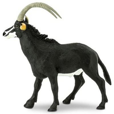 SAF227829 - Antilopă neagră