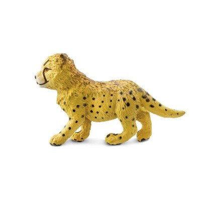 SAF272029 - Pui de ghepard