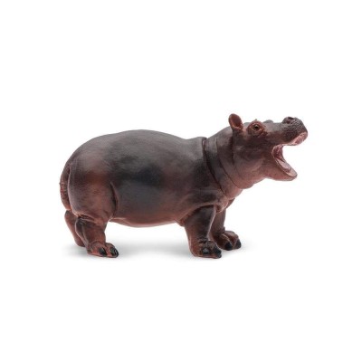 SAF270529 - Pui de hipopotam
