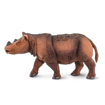 SAF100103 - Rinocer de Sumatra