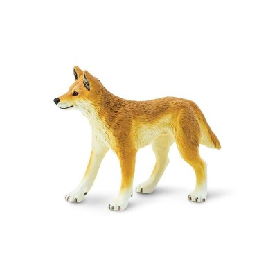 SAF228229 - Câine dingo