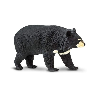 SAF100044 - Ursul tibetan gulerat