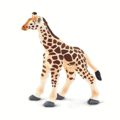 SAF100422 - Pui de girafă
