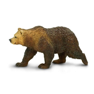 SAF181329 - Urs Grizzly