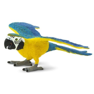 SAF264029 - Papagalul Ara cu pieptul galben