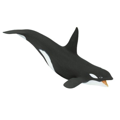 SAF275129 - Balena ucigașă (orcă)