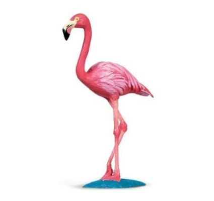 SAF239929 - Flamingo