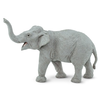 SAF227529 - Elefant asiatic (femelă)