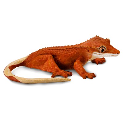 SAF100344 - Gecko cu creastă