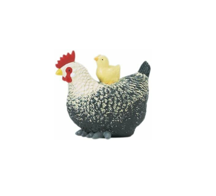 SAF231629 - Găină cu 1 pui
