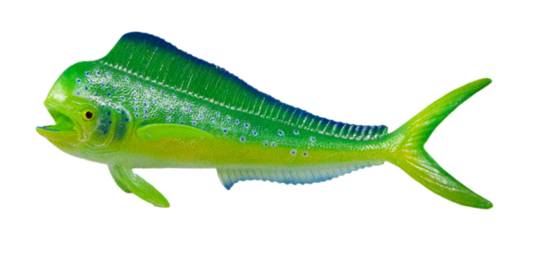 SAF110032 Mahi-mahi (pește-delfin)
