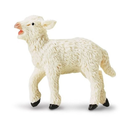 SAF233729 Miel