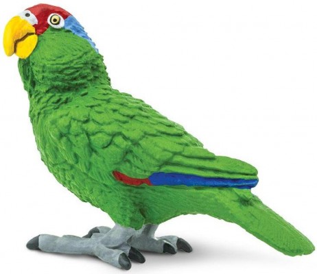 SAF263729 - Papagal Amazon Verde