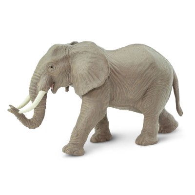 SAF270029 - Elefantul african