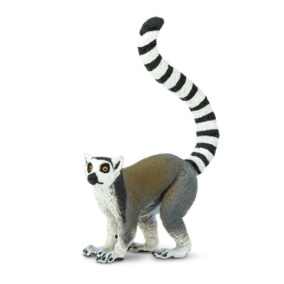 SAF292229 - Lemur cu coada inelată