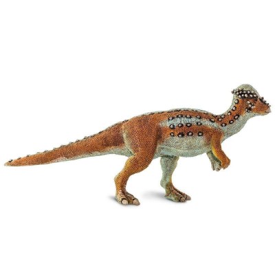 SAF100350 - Pachycephalosaurus