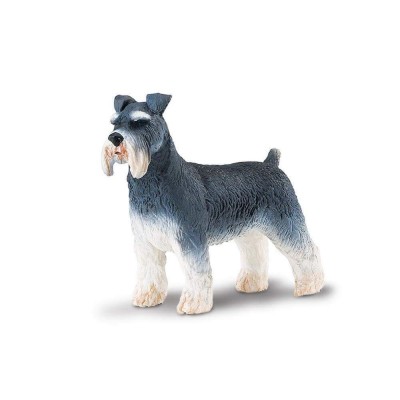 SAF254329 - Schnauzer