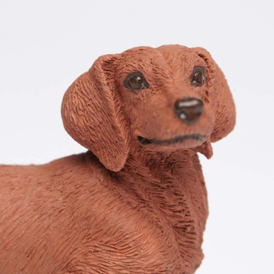 SAF251529 - Dachshund