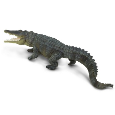 SAF262629 - Crocodil de apă sărată
