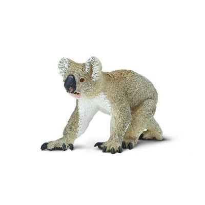 SAF225329 - Koala