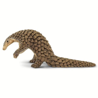 SAF100268 - Pangolin 