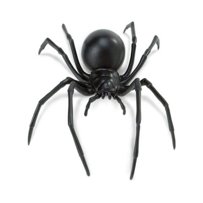 SAF545406 - Păianjenul Văduva neagră