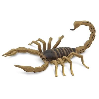 SAF100260 - Scorpion