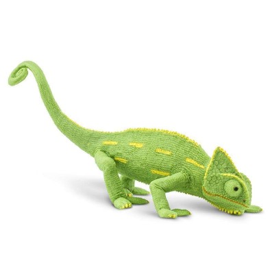 SAF261029 - Pui de cameleon voalat