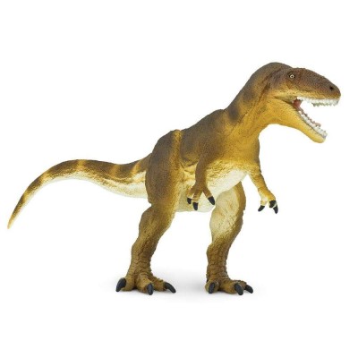 SAF305229 - Carcharodontosaurus