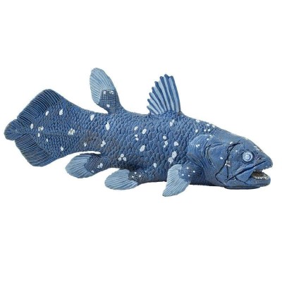 SAF285729 - Coelacanth