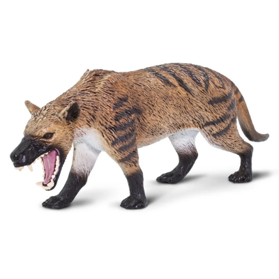 SAF100126 - Hyaenodon