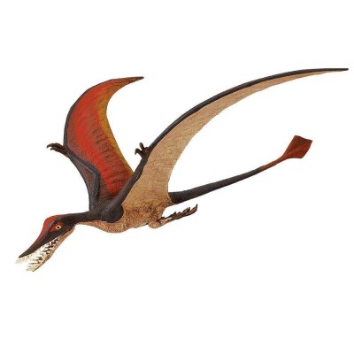 SAF300329 - Rhamphorhynchus