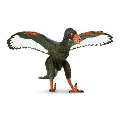 SAF302829 - Archaeopteryx