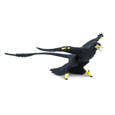 SAF304129 - Microraptor