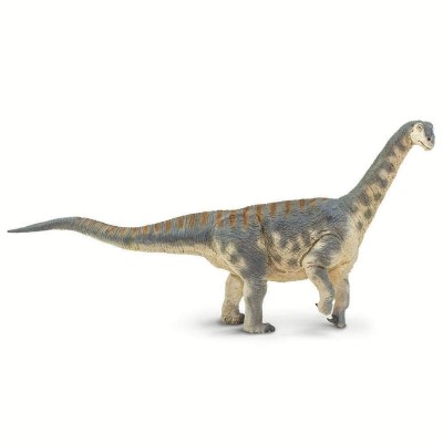 SAF100309 - Camarasaurus