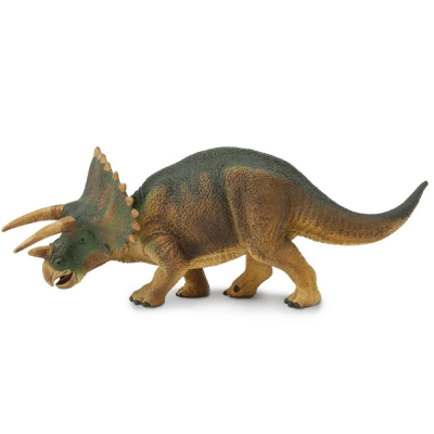 SAF284529 - Triceratops