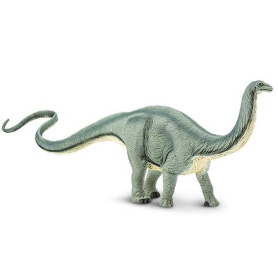 SAF300429 - Apatosaurus