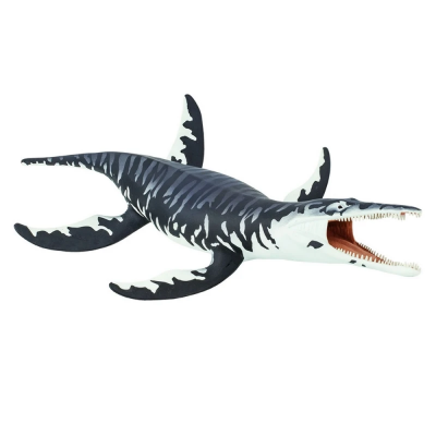 SAF304029 - Kronosaurus