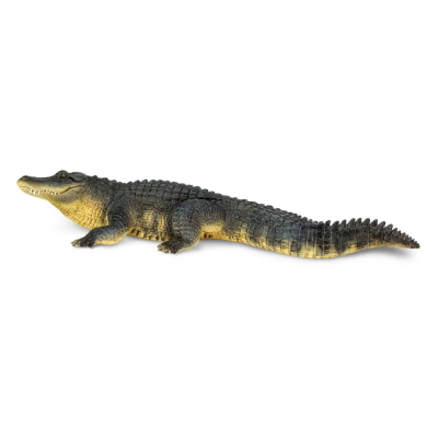 SAF113389 - Aligator