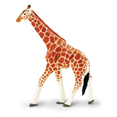 SAF111189 - Girafă somaleză